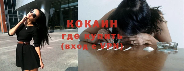 молекула духа Ладушкин