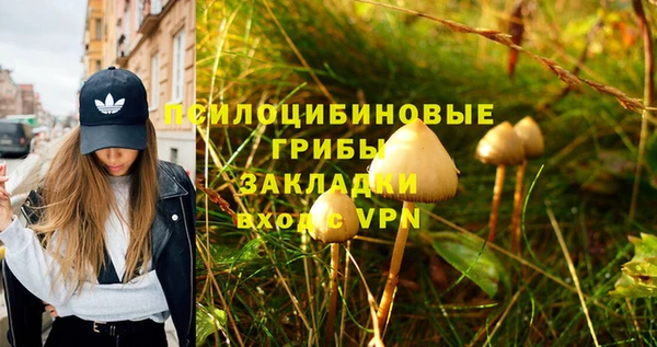 крисы Лагань