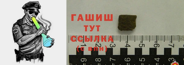 молекула духа Ладушкин