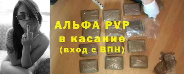 крисы Лагань
