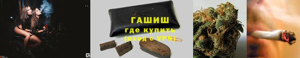молекула духа Ладушкин