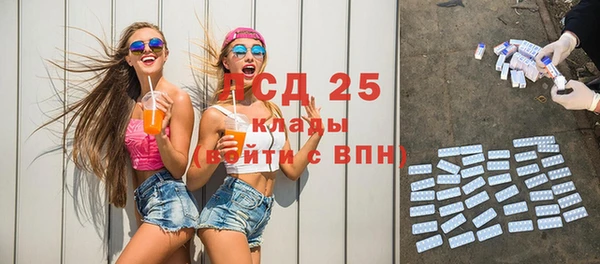 крисы Лагань