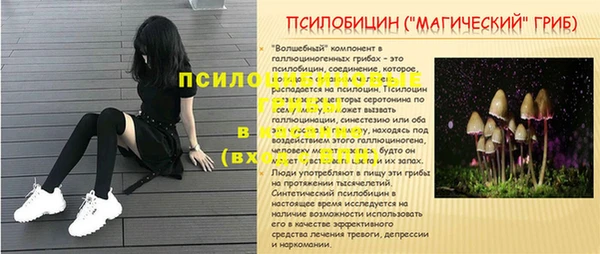 молекула духа Ладушкин