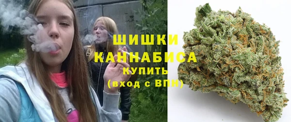 молекула духа Ладушкин