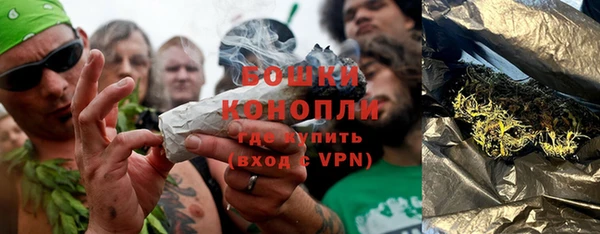 молекула духа Ладушкин