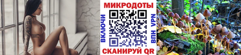 Купить где  Северобайкальск  Галлюциногенные грибы Cubensis 